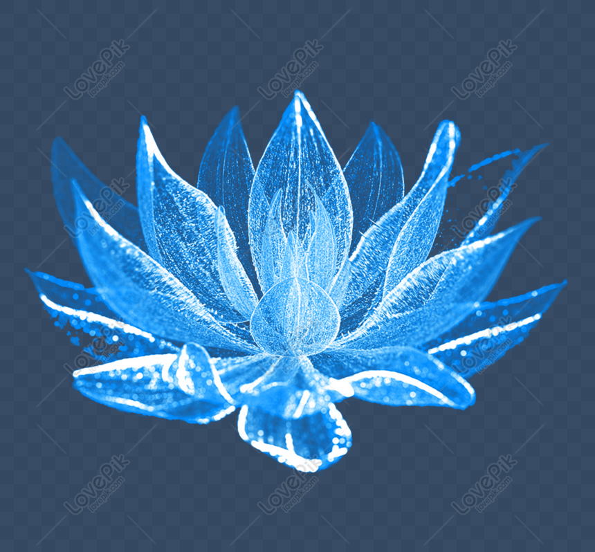 Elemento De Efecto De Flor De Lirio De Agua Azul Translúcido PNG Imágenes  Gratis - Lovepik