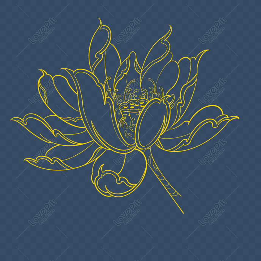 Golden Lotus - hoa sen vàng, là một trong những loài hoa đẹp nhất và quan trọng nhất của đất nước Việt Nam. Tận hưởng vẻ đẹp của những cánh hoa sắc vàng rực rỡ trên nền xanh tươi mát tại đầm sen thiên nhiên.
