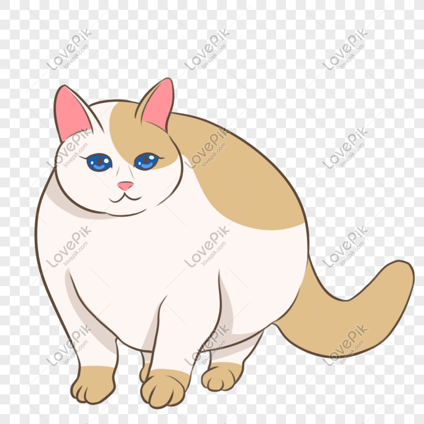 Spotted Orange Cat Cat Big Fat Cat PNG Transparent Image And Clipart Image  For Free Download - Lovepik | 401538077