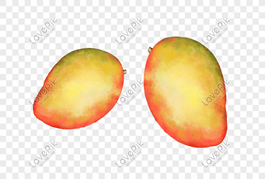 Gambar Lukisan Buah Mangga  Contoh Gambar Lukisan 