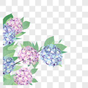 Hydrangea PNG Images: Hãy khám phá sắc đẹp tuyệt vời của hoa cẩm tú cầu như chưa từng thấy qua hình ảnh trong tệp định dạng PNG. Tận hưởng hình ảnh chất lượng cao và sắc nét nhất để tạo ra các thiết kế tuyệt đẹp cho dự án của bạn!