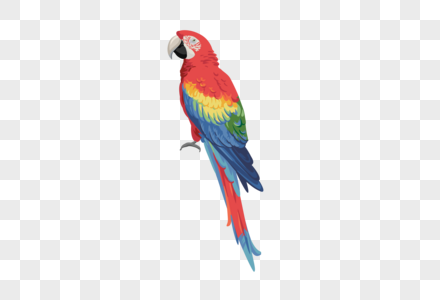 Parrot PNG Images With Transparent Background | Free Download On Lovepik