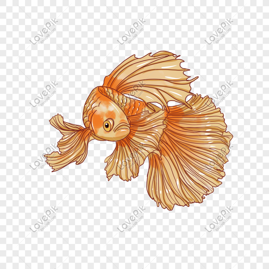 Golden Fish Png Image Picture Free Download Lovepik Com