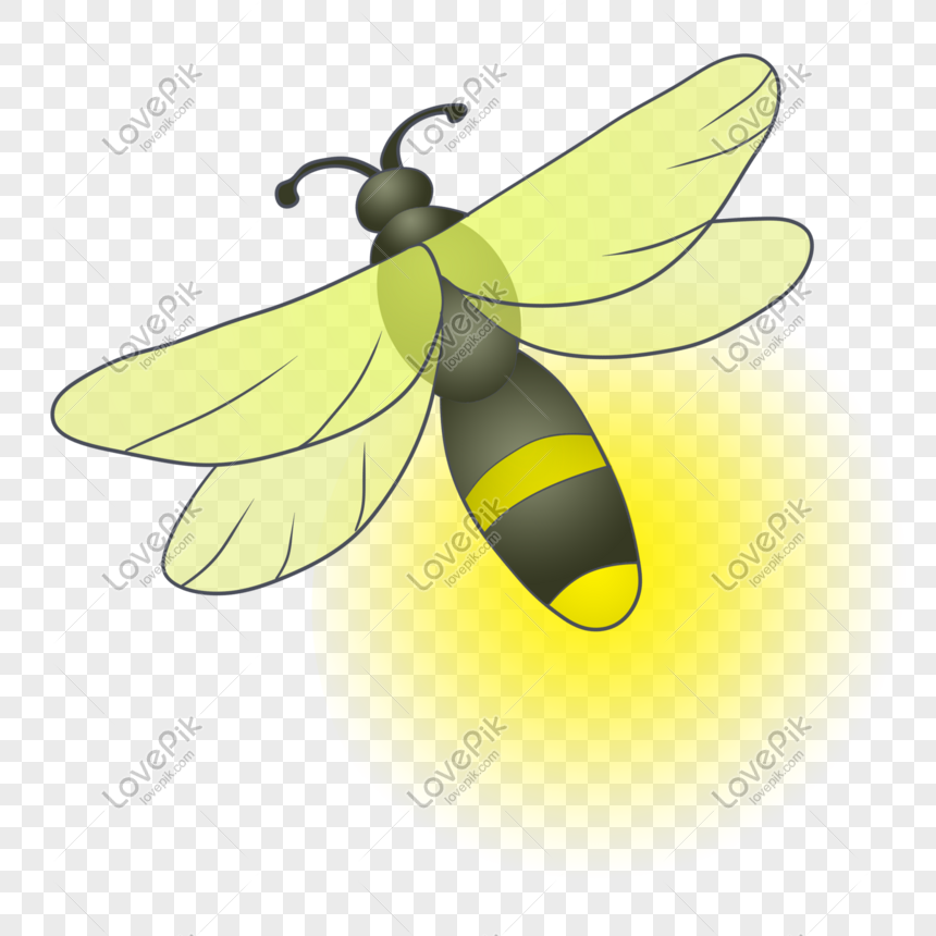 Firefly Cartoon - Are you searching for fireflies png images or vector