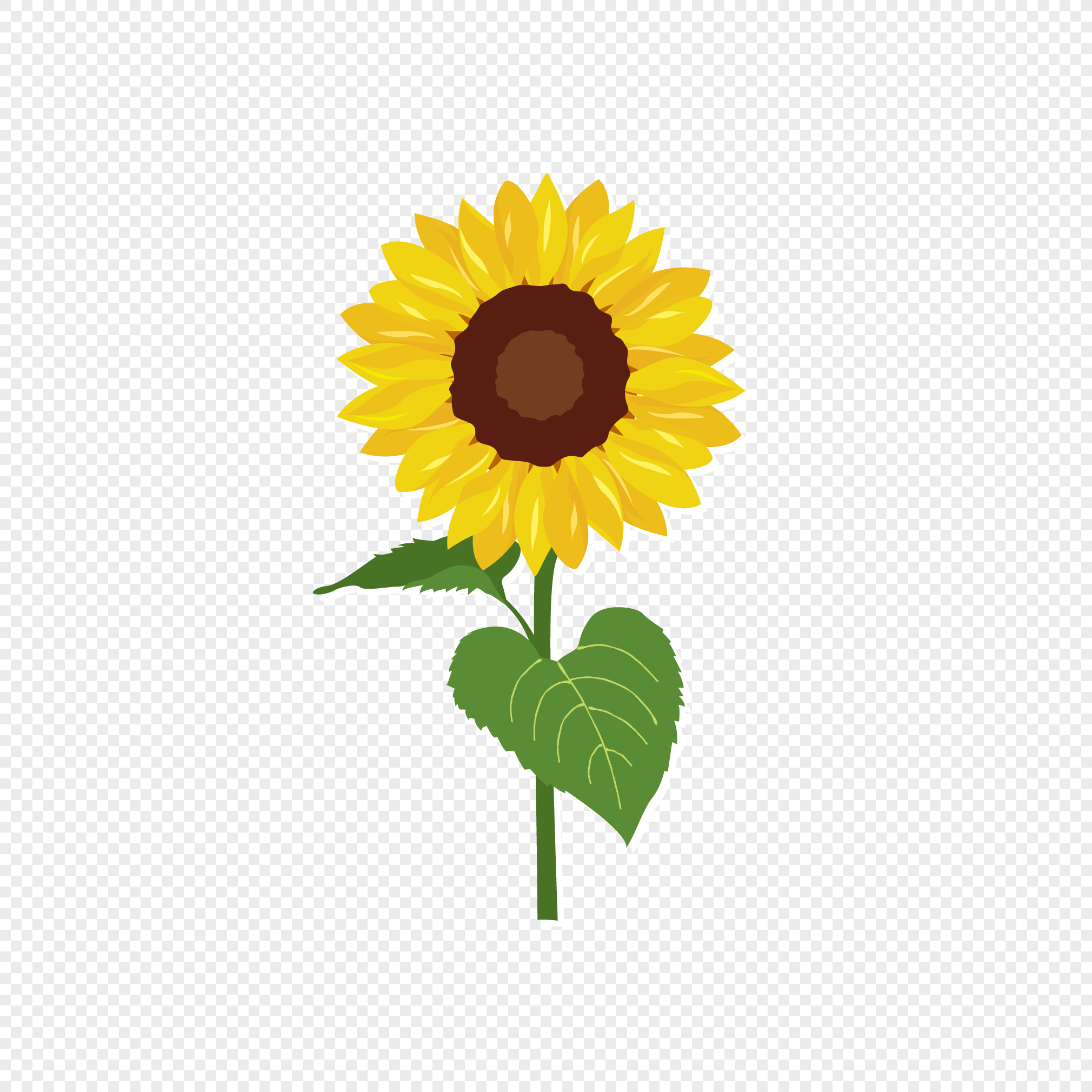 Flower Sunflower PNG Images With Transparent Background | Free Download ...