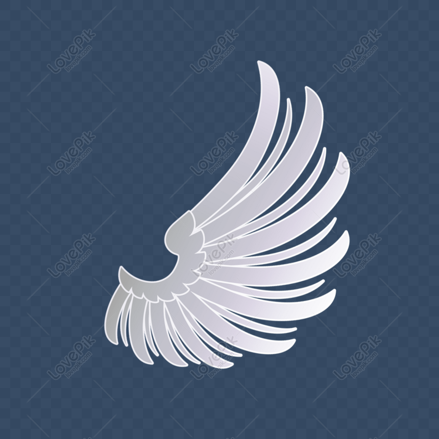 Birds Wings PNG Images With Transparent Background | Free Download On  Lovepik