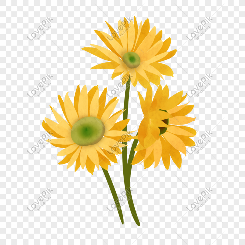 Cartoon Yellow Daisies PNG Hd Transparent Image And Clipart Image For Free  Download - Lovepik | 401568394