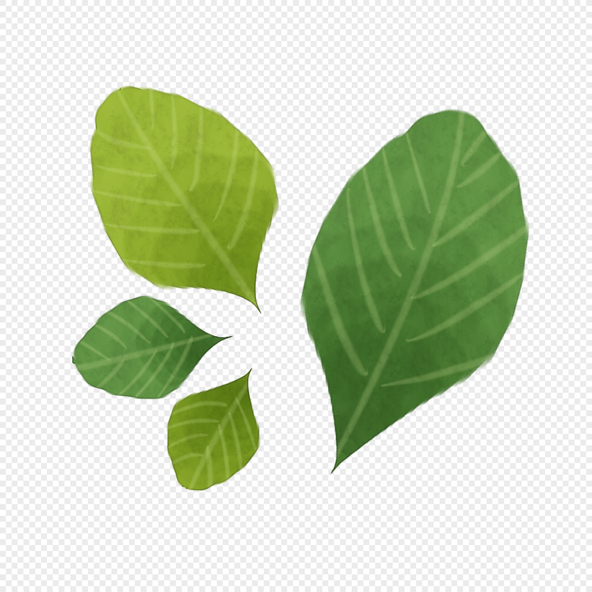 Cartoon Green Leaves Images, HD Pictures For Free Vectors Download -  