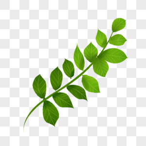 430000 Cartoon Green Leaves Hd Photos Free Download Lovepik Com