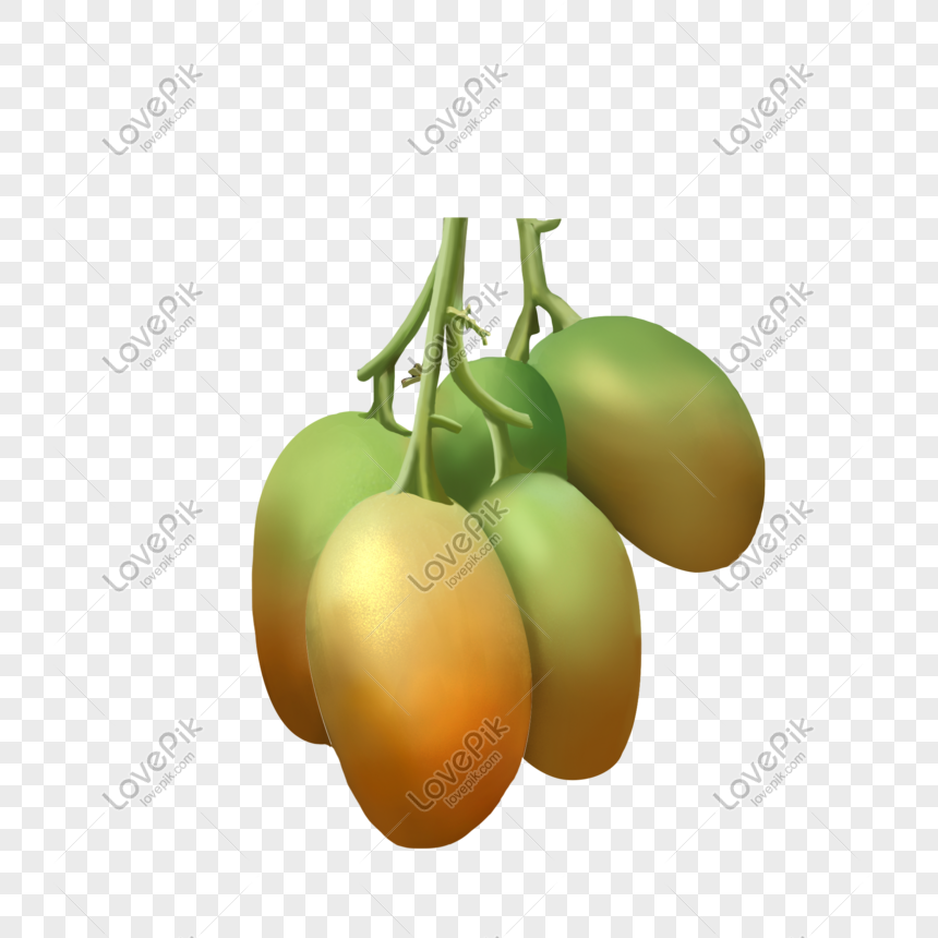 24 Gambar Buah Mangga  Kartun  Gambar Kartun 