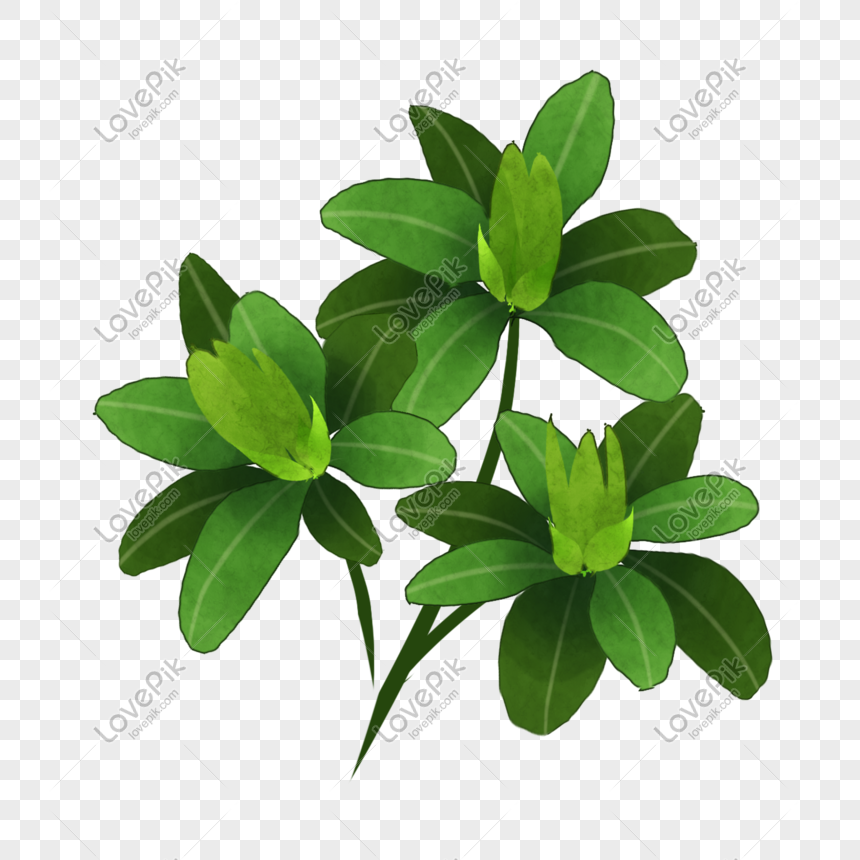 green cartoon flowers