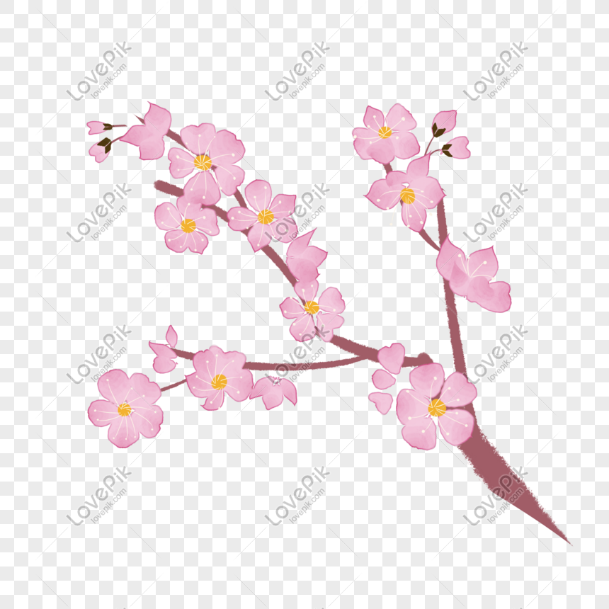 Gambar Bunga Sakura Kartun Png - Koleksi Gambar Bunga