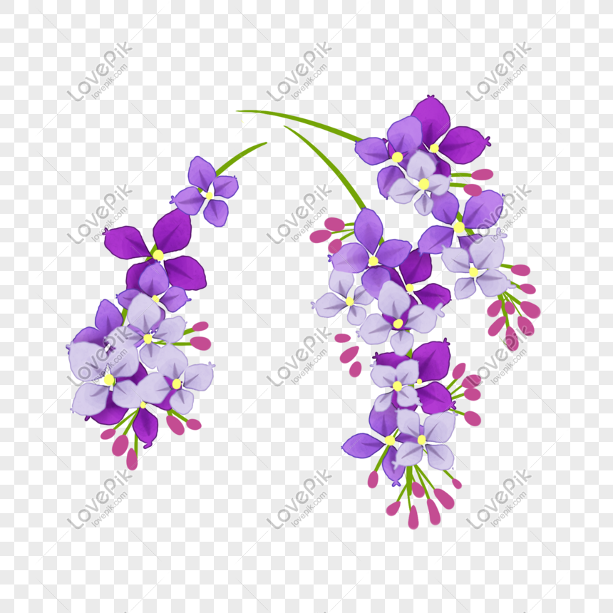 Cartoon Wisteria Flower Illustration Png Image Picture Free Download 401569100 Lovepik Com