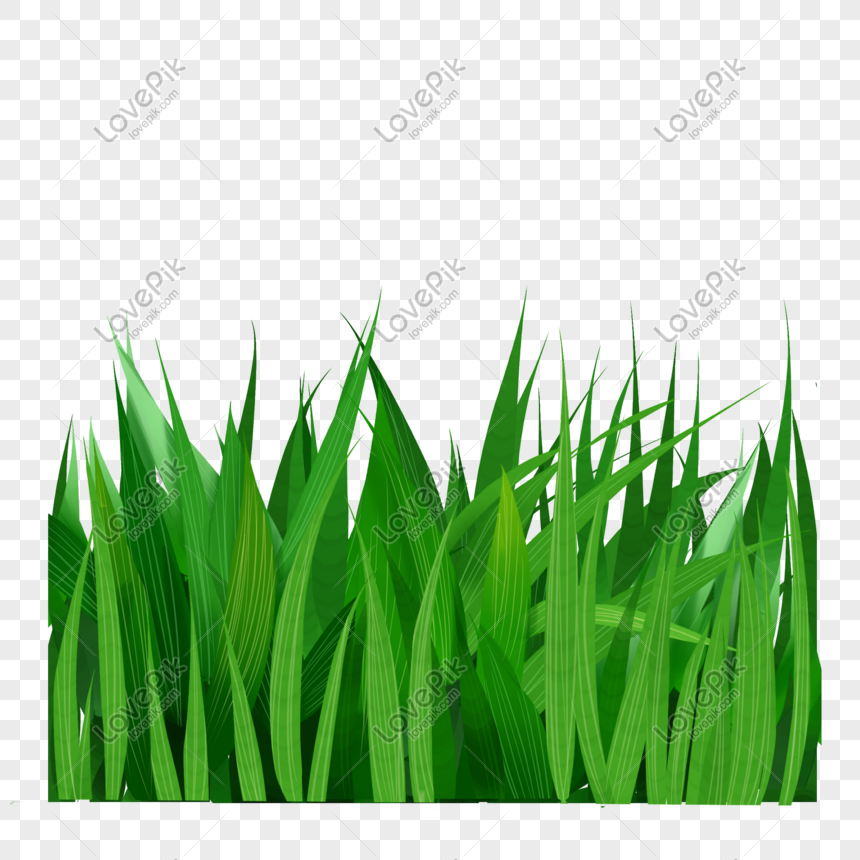 Cartoon A Green Grass PNG Image Free Download And Clipart Image For Free  Download - Lovepik | 401569201