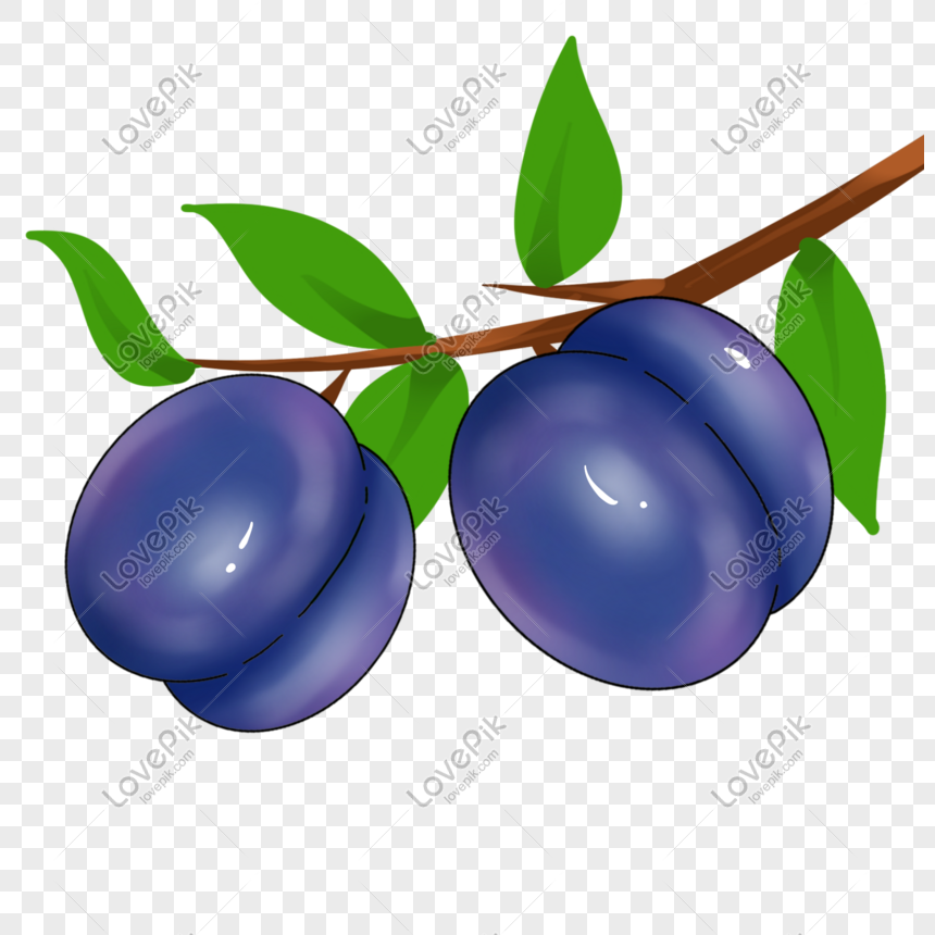 cartoon purple plum png image picture free download 401571234 lovepik com cartoon purple plum png image picture