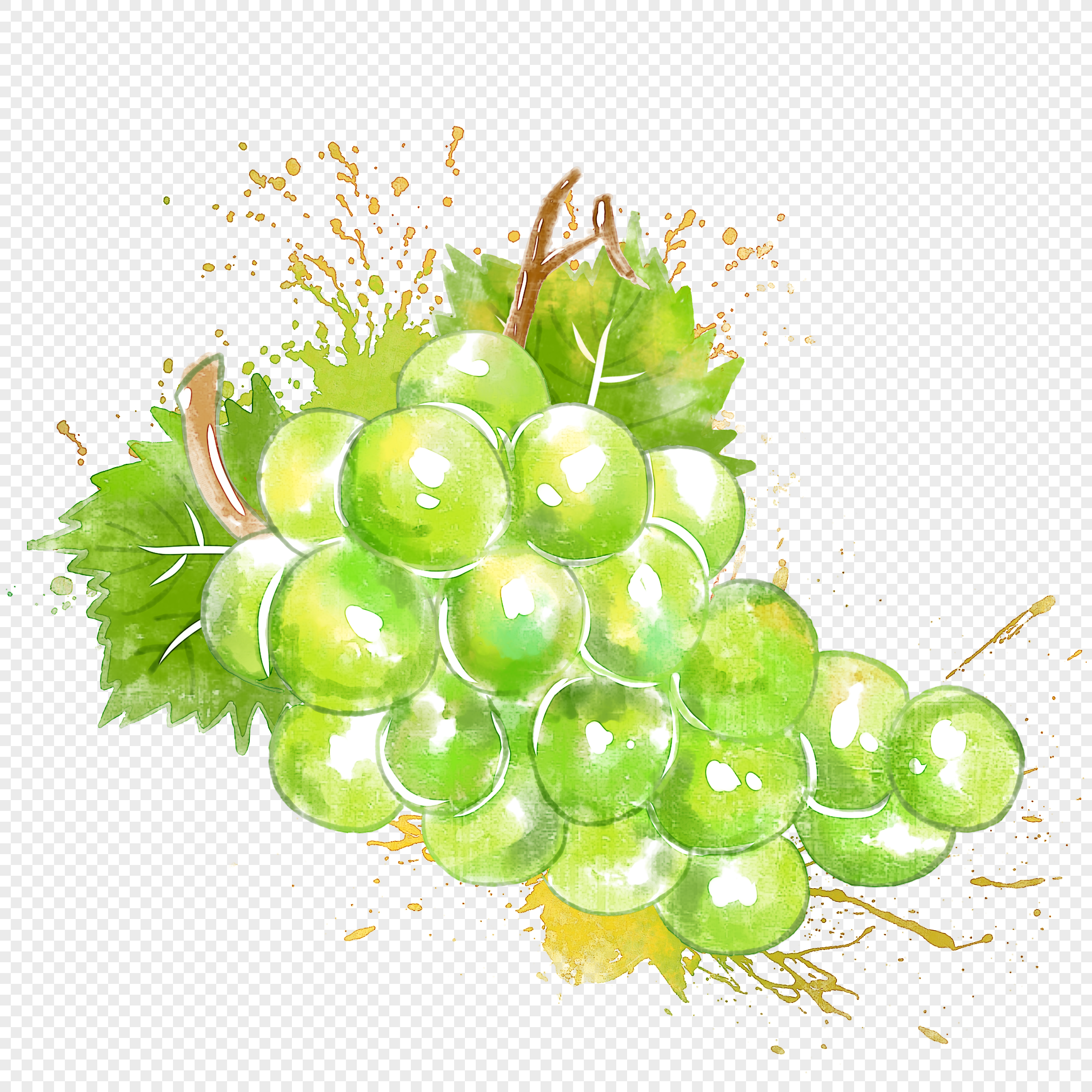Белый виноград акварель