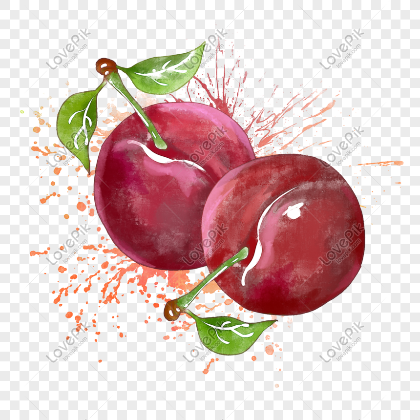 plum watercolor png image picture free download 401591264 lovepik com plum watercolor png image picture free