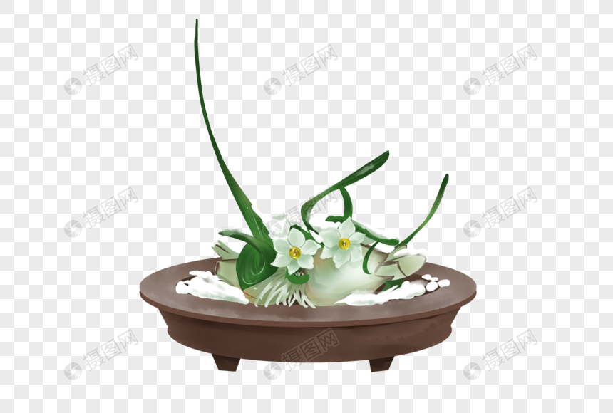 Planta De Narciso De Invierno PNG Imágenes Gratis - Lovepik