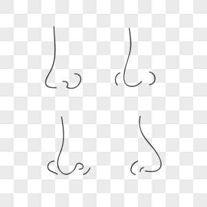 Nose PNG Images With Transparent Background | Free Download On Lovepik