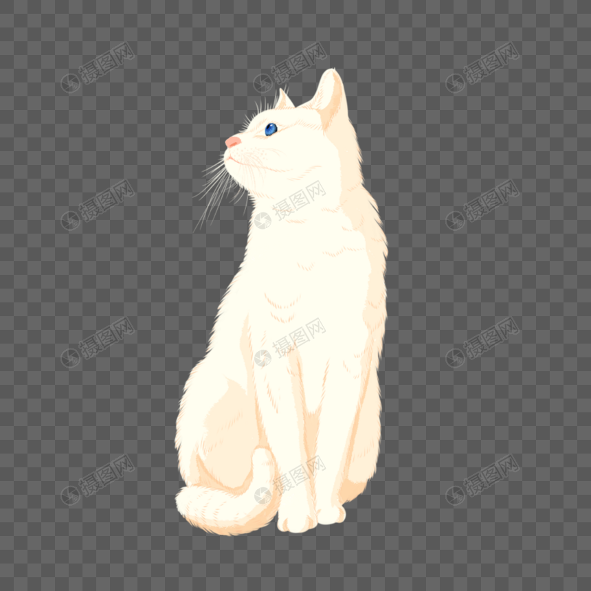 Kucing Kecil PNG grafik gambar unduh gratis - Lovepik