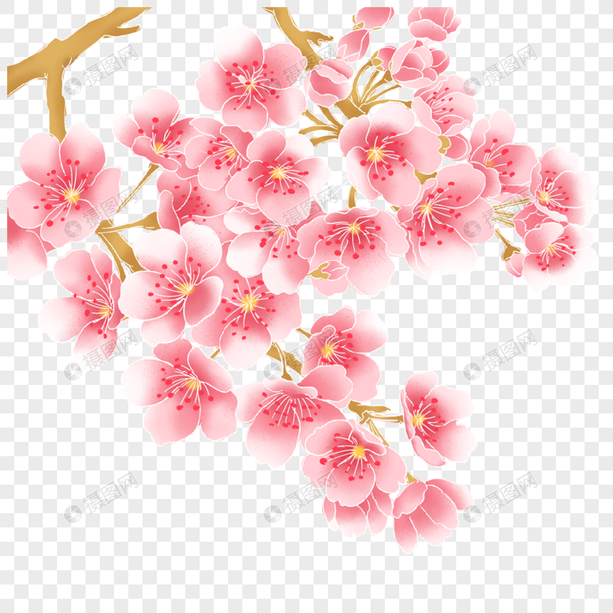 Flor De Durazno PNG Imágenes Gratis - Lovepik