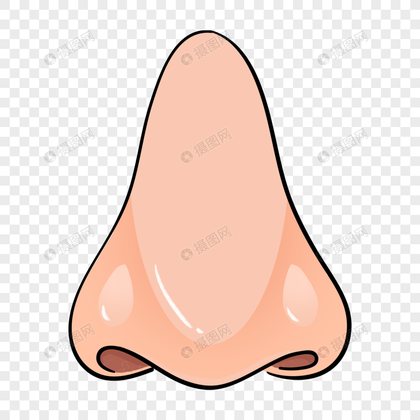 Hand Drawn Nose PNG Transparent Background And Clipart Image For Free  Download - Lovepik | 401673830