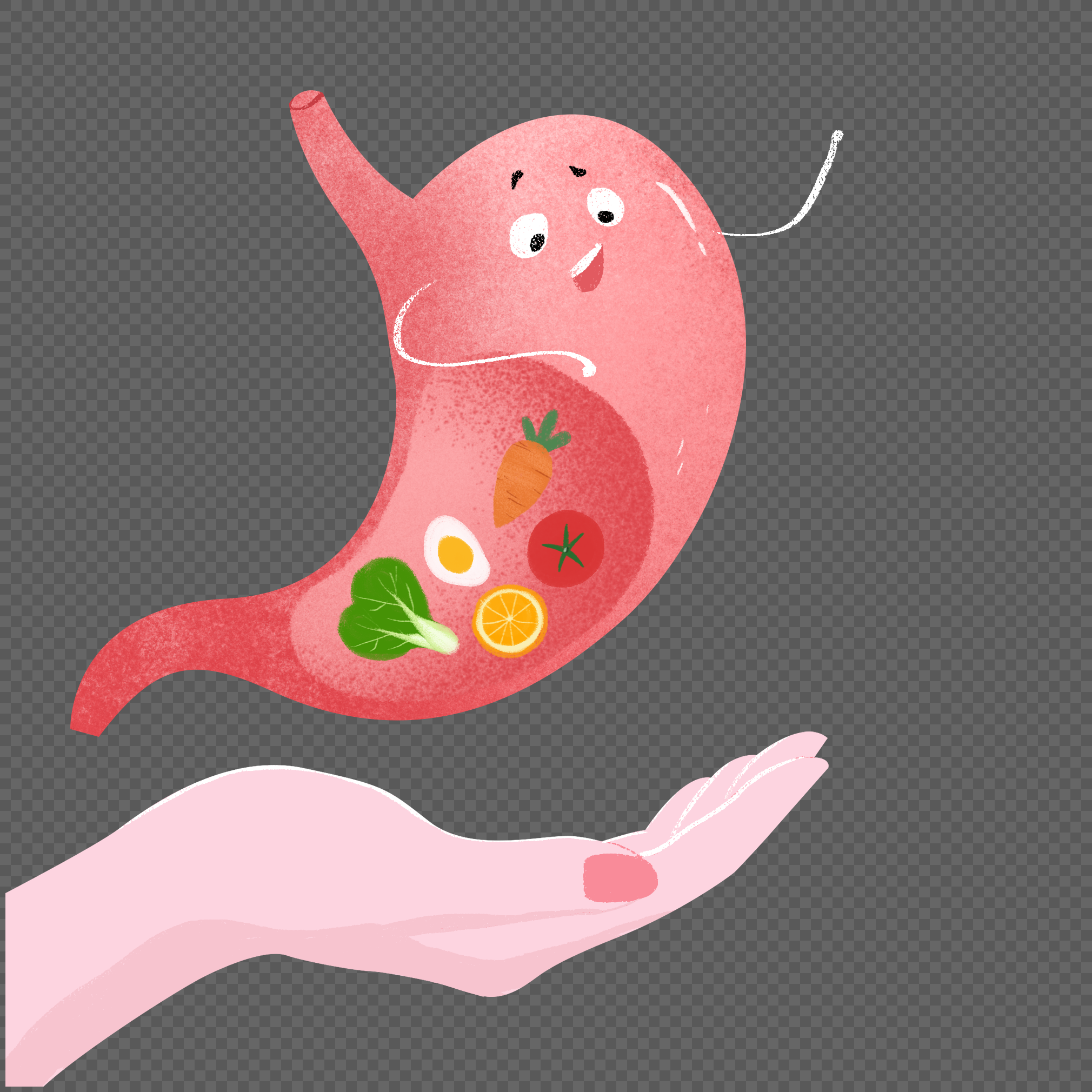 Stomach PNG Images With Transparent Background | Free Download On Lovepik