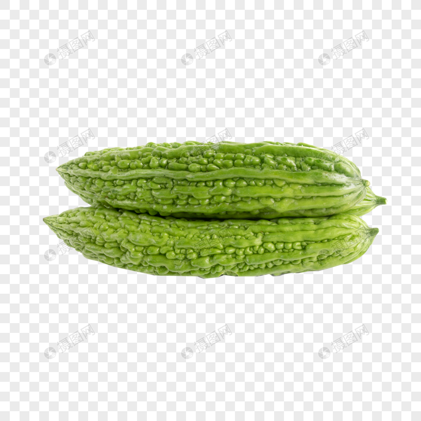 harmless bitter gourd png image picture free download 401678111 lovepik com lovepik