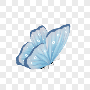blue butterfly transparent background