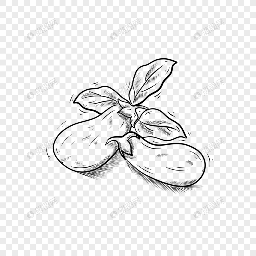 food vegetable black and white lineart eggplant png image picture free download 401693520 lovepik com food vegetable black and white lineart