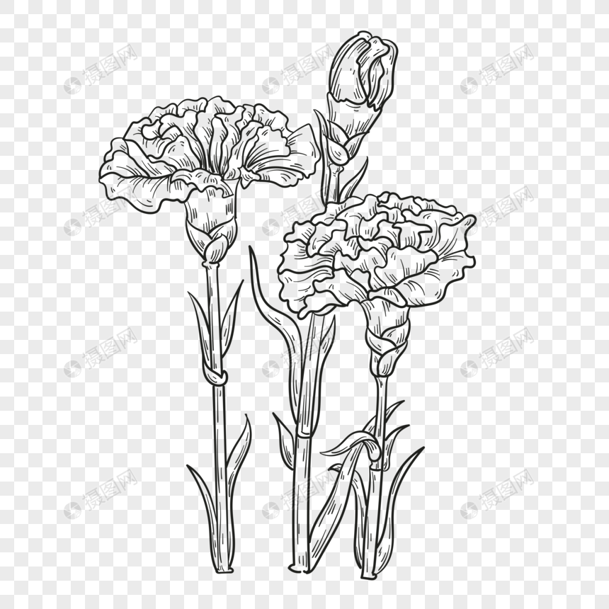 Hoa Cẩm Chướng là một trong những loài hoa được ưa chuộng nhất trong thế giới trang trí nghệ thuật. Đến với hình ảnh liên quan đến từ khóa này và bạn sẽ được thấy những bức tranh cực kỳ đẹp về loài hoa này.