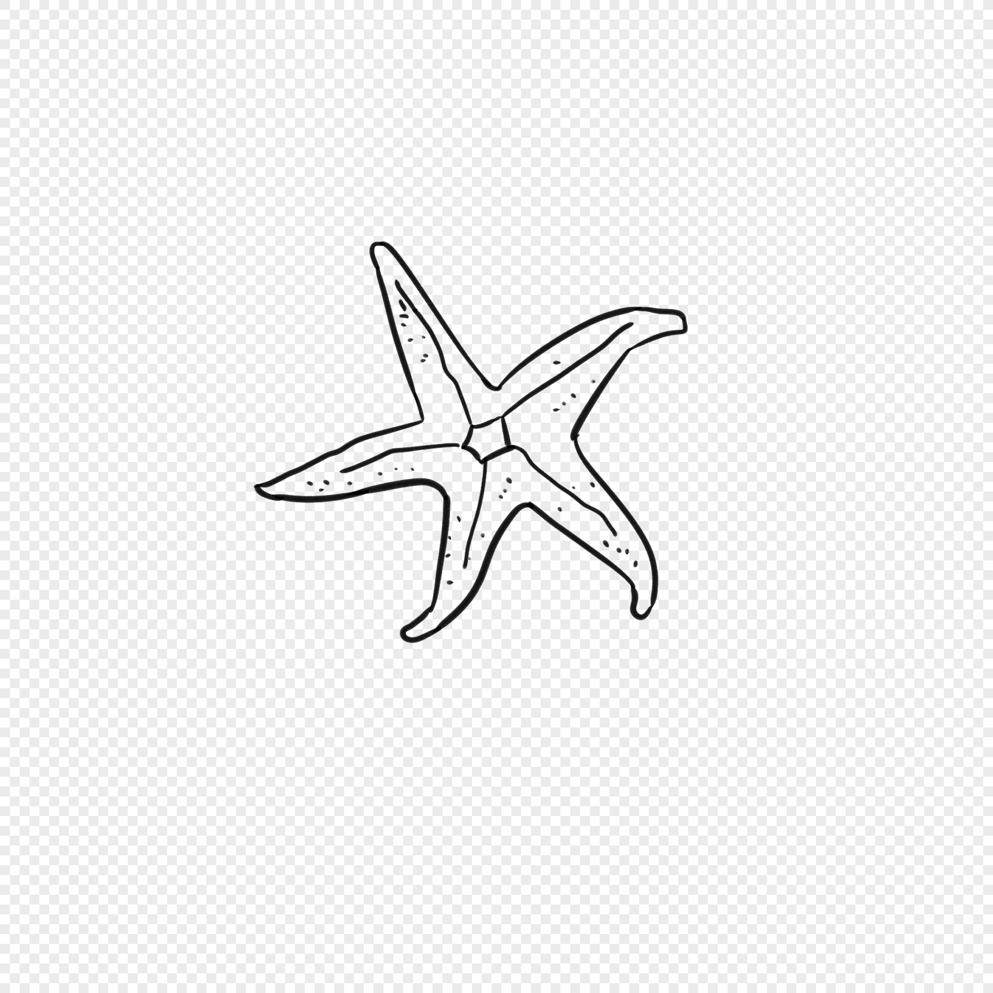 Морская звезда рисунок СССР