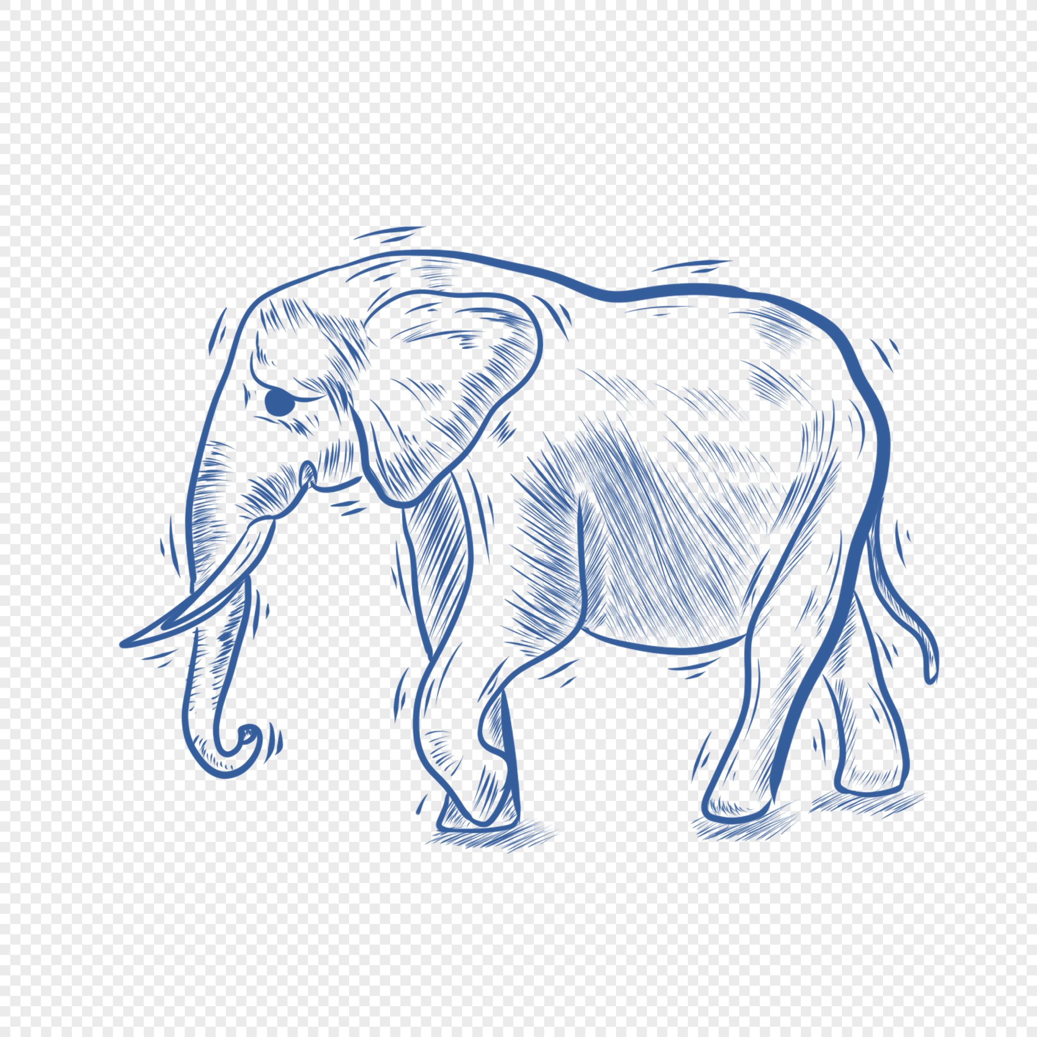 Blue line animal stick figure elephant png image_picture free download 