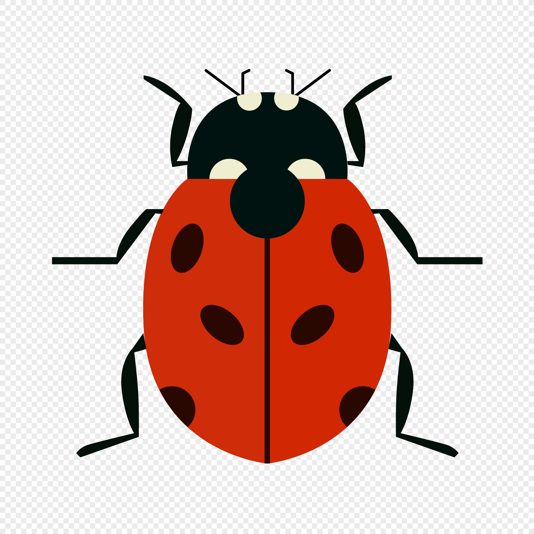 Cute Ladybug PNG Transparent Images Free Download, Vector Files