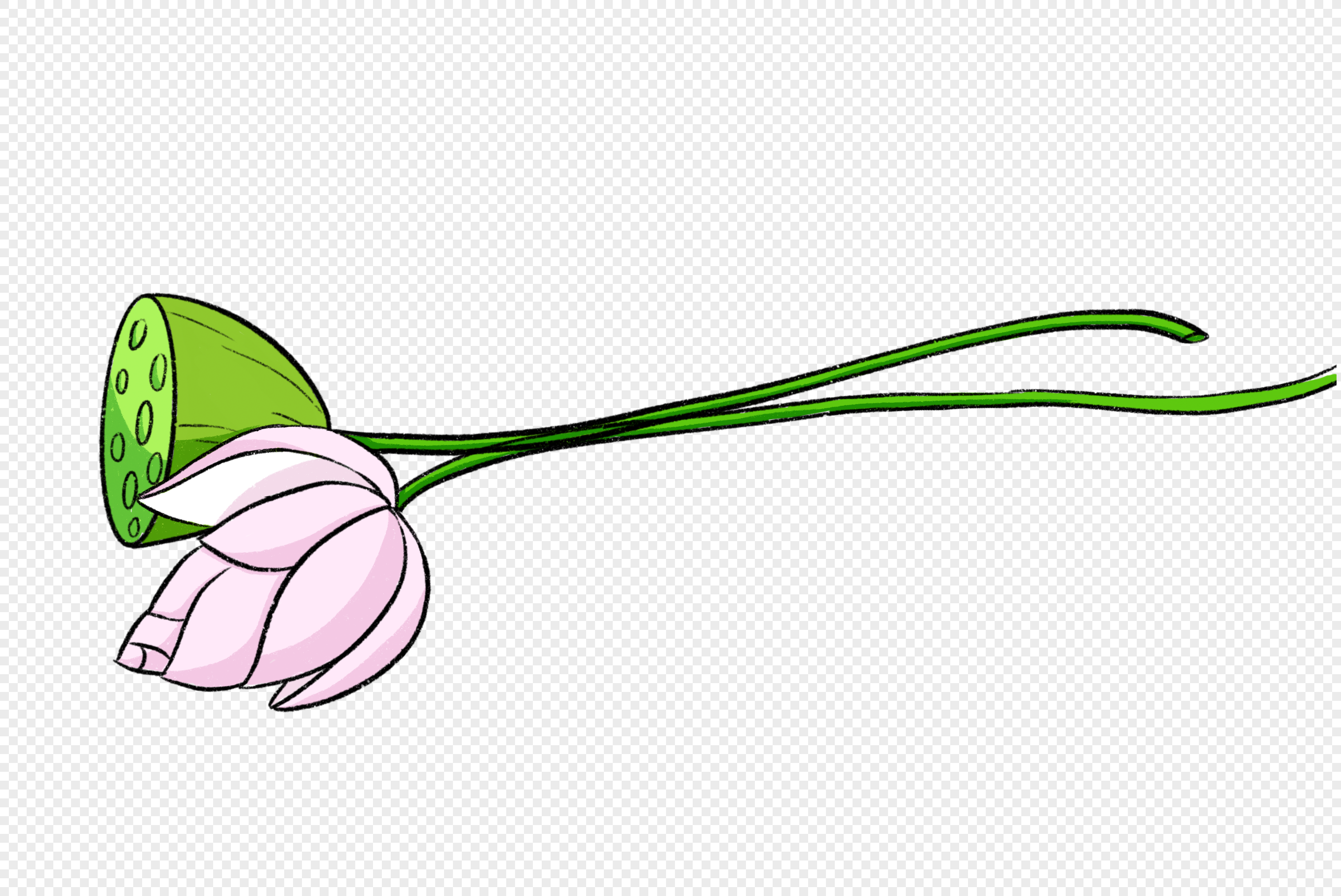 lotus-petals-illustration-aesthetic-picture-lotus-lotus-flower-png