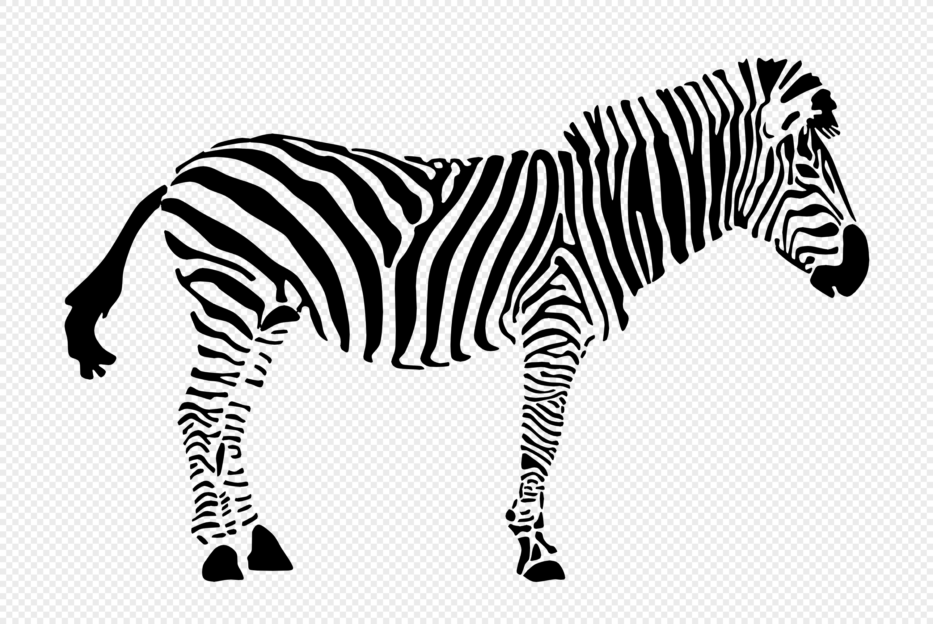 Abstract hand drawn line art zebra clipart Safari animals clipart African  animals clipart Commercial use Papercraft Scrapbooking Craft Supplies &  Tools 