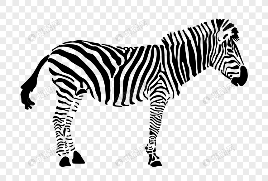 Hand Drawn Wild Animal Zebra PNG White Transparent And Clipart Image For  Free Download - Lovepik | 401737532