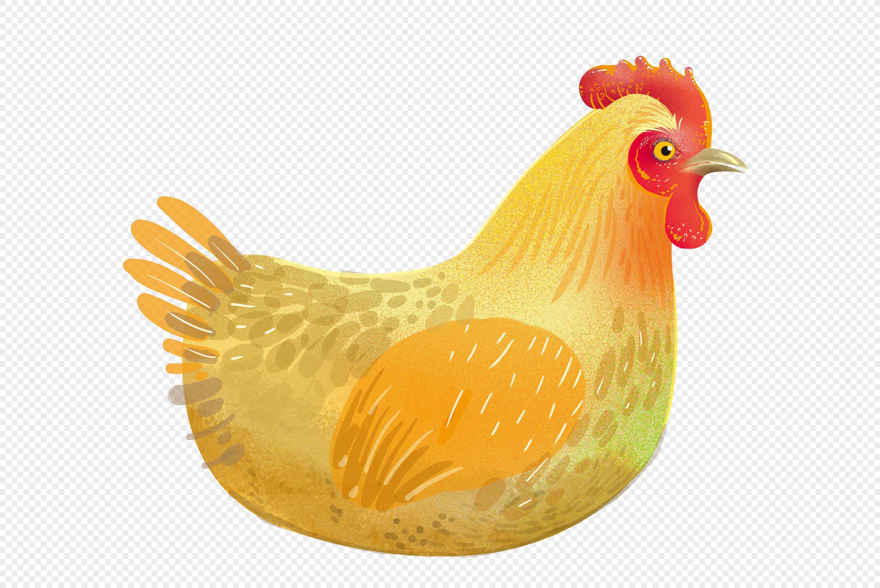 Hen PNG Images With Transparent Background | Free Download On Lovepik