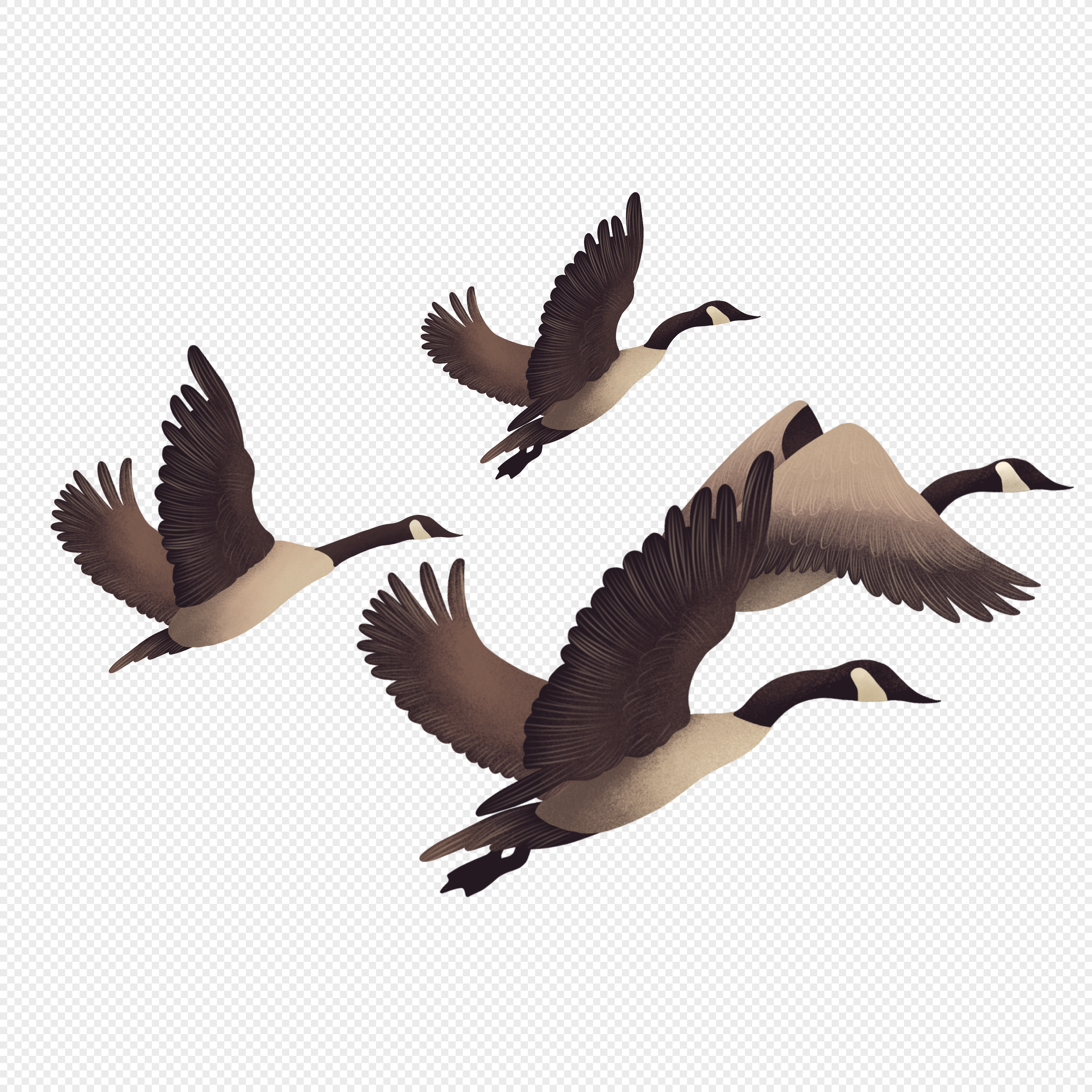 Canada goose korea clearance visa