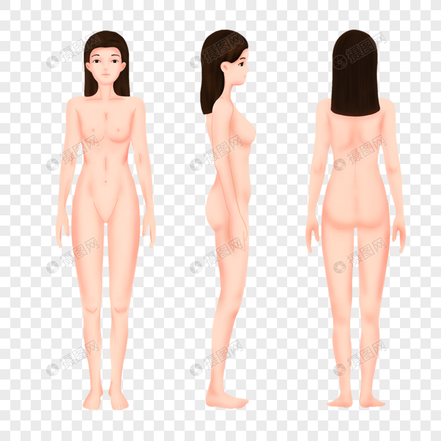 Three Views Of Woman Human Body Png Image Psd File Free Download Lovepik 401795977