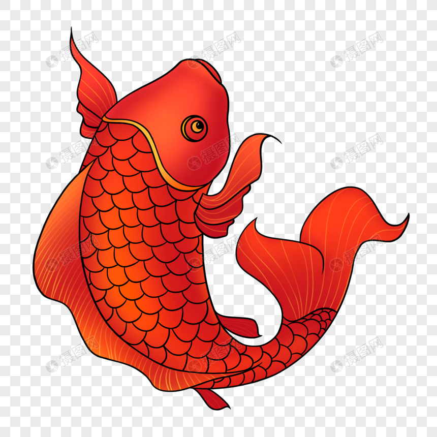 赤い鯉 イラスト 鯉 魚 毎年の余剰 フリー素材 透過 Lovepik