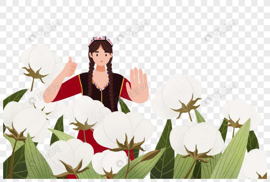 Xinjiang Cotton PNG, Vector, PSD, and Clipart With Transparent Background  for Free Download