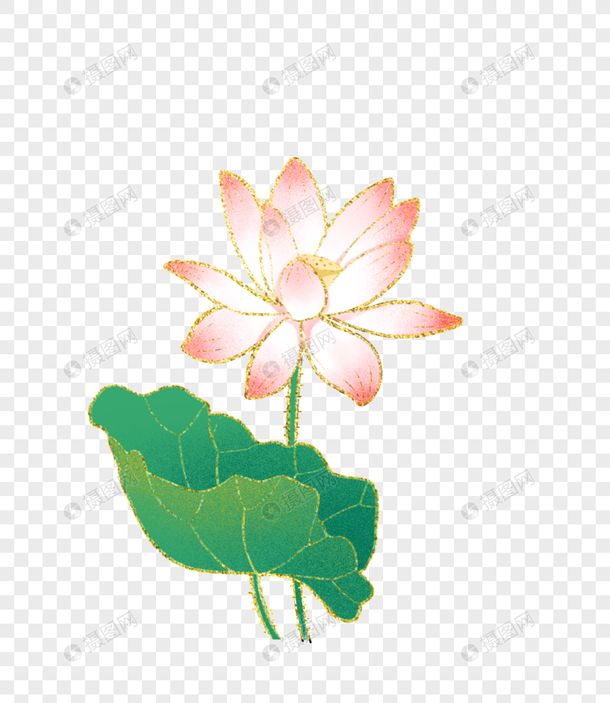 蓮の夏の夏の植物lotus Hot Chinese Feng Shui Hibiscusイメージ グラフィックス Id Prf画像フォーマットpsd Jp Lovepik Com