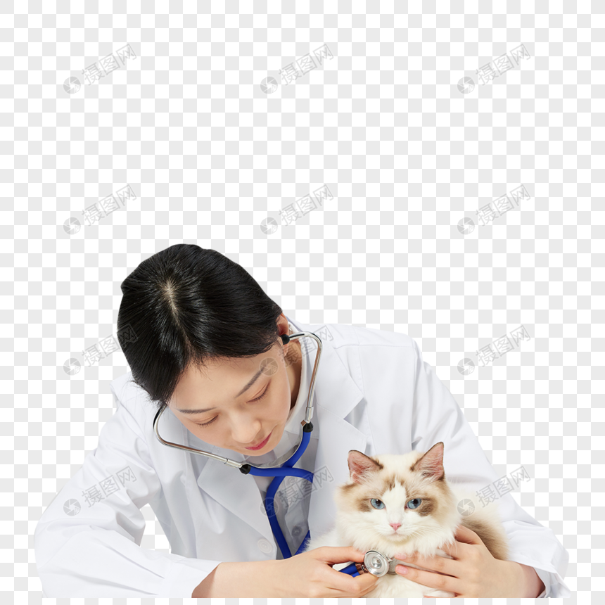 Doktor Haiwan Wanita Memberikan Kucing Coche gambar unduh 
