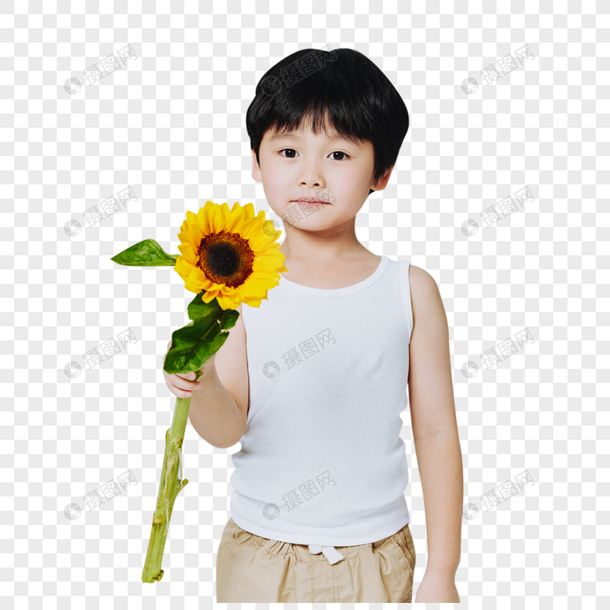 El Chico Lindo Del Girasol En La Mano PNG Imágenes Gratis - Lovepik