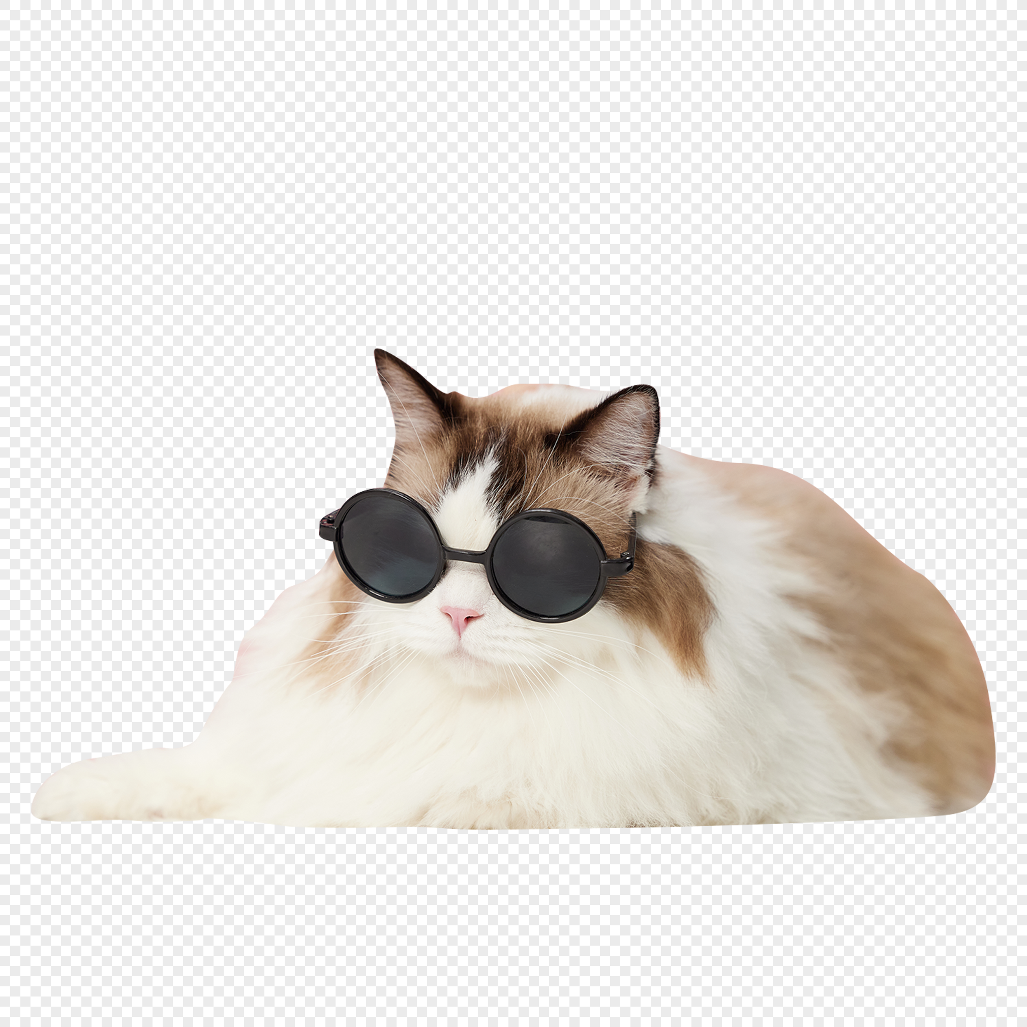 Meme Sunglasses PNG Images, Transparent Meme Sunglasses Image Download -  PNGitem