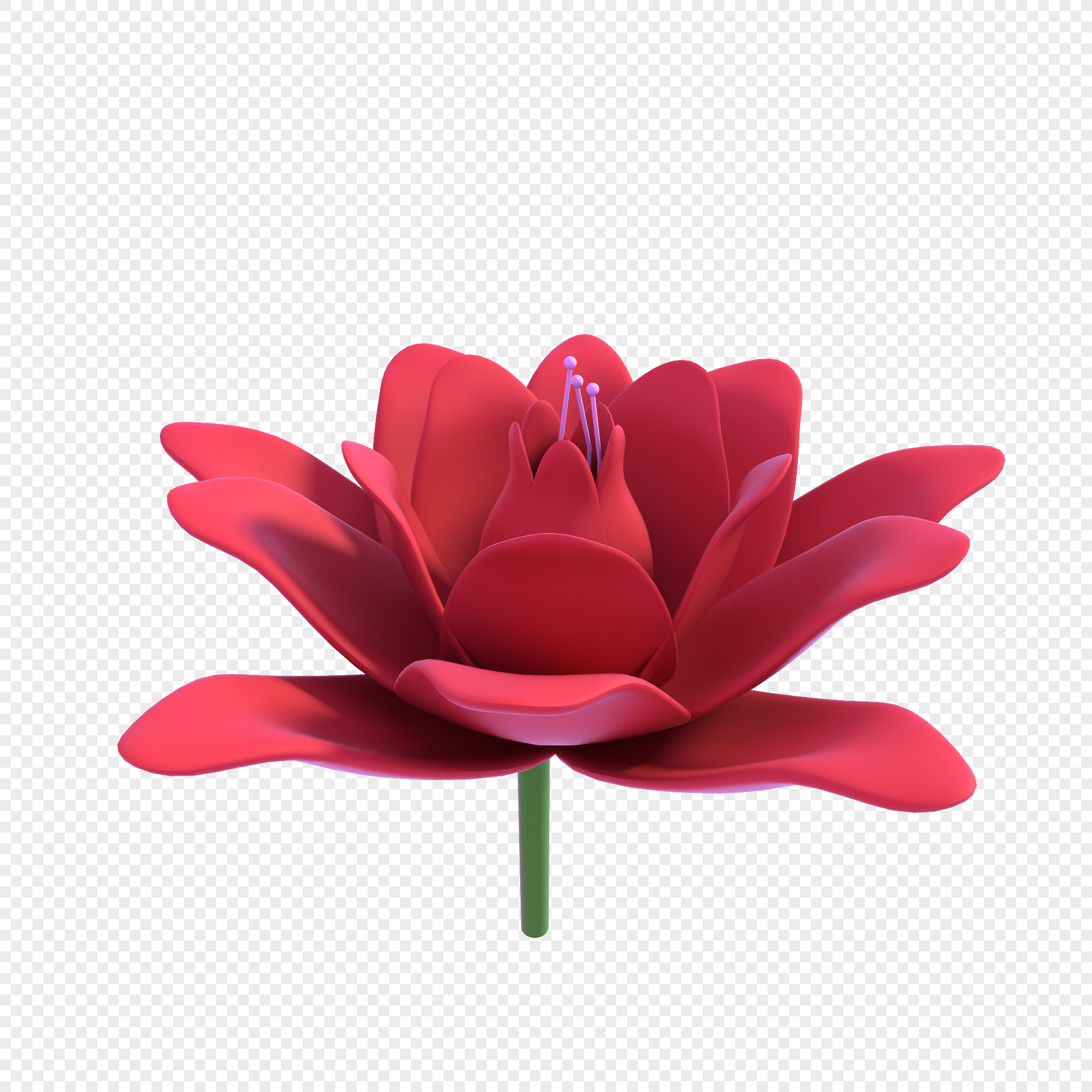 One Flower PNG Images With Transparent Background