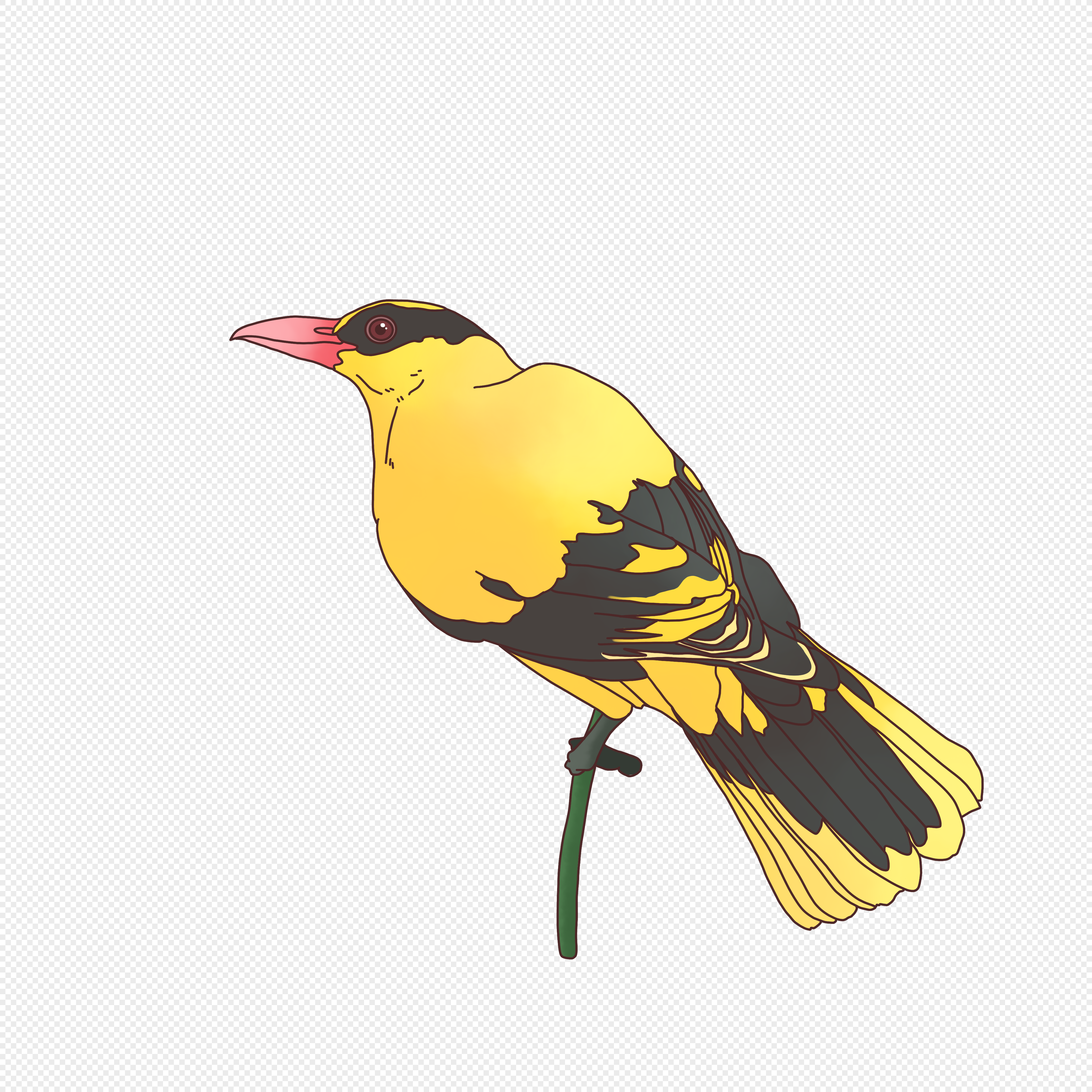 Oriole PNG, Vector, PSD, and Clipart With Transparent Background for Free  Download