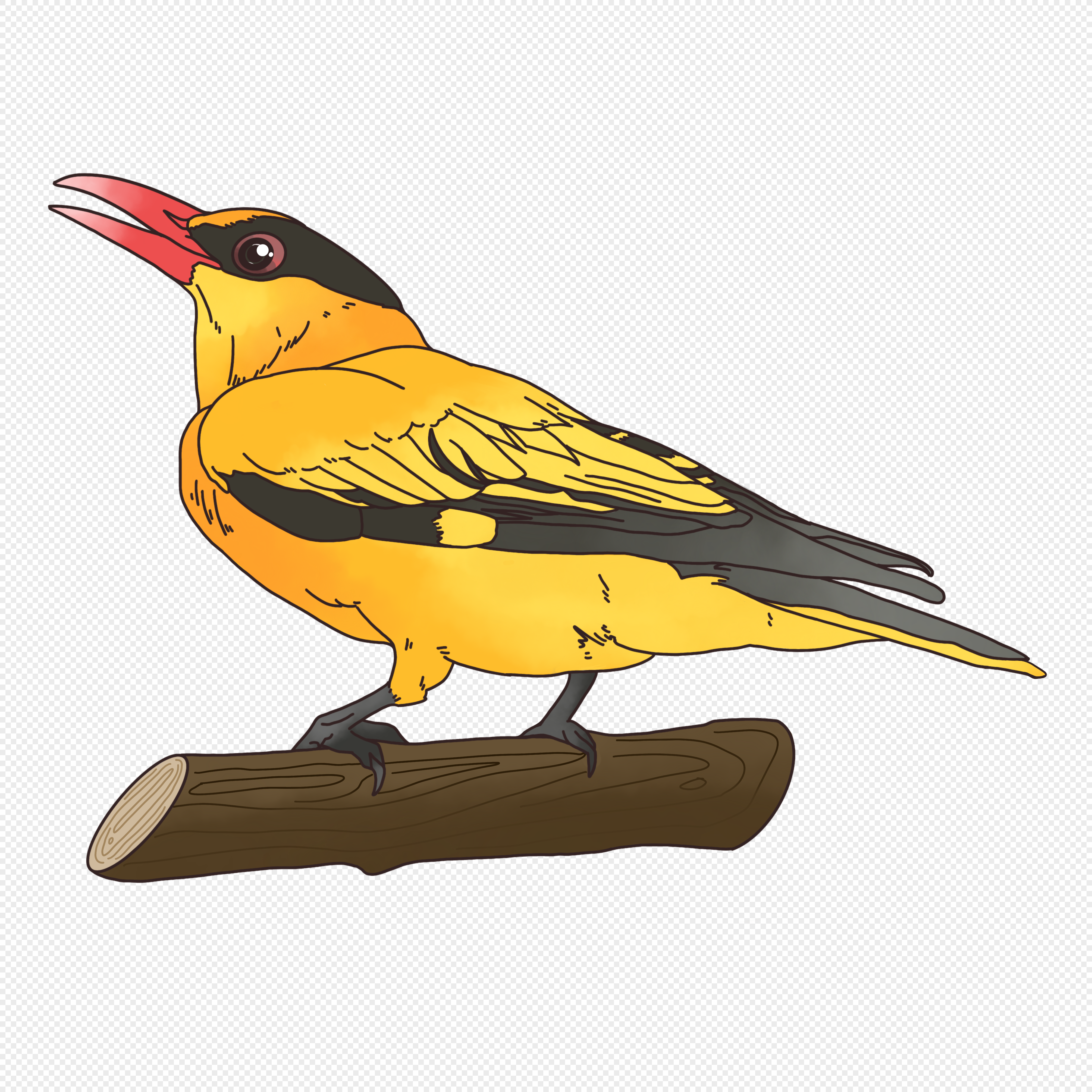 Oriole transparent background PNG cliparts free download