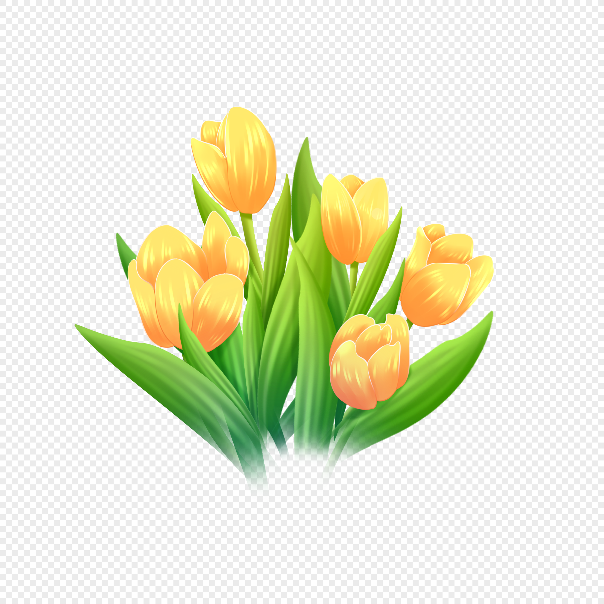 Tô Màu Trang Bộ Sưu Tập Hoa Của Hoa Tulip Hình minh họa Sẵn có - Tải